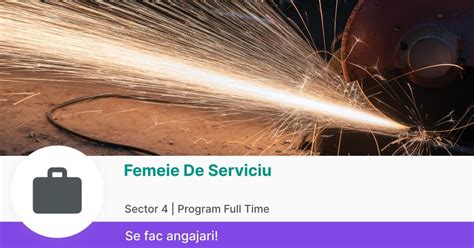 70 Locuri de Munca Femeie de serviciu in Sector 2 